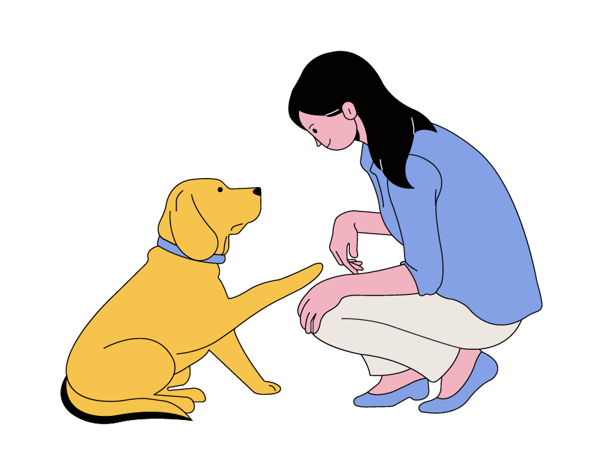 Girl Caring Domestic Animal